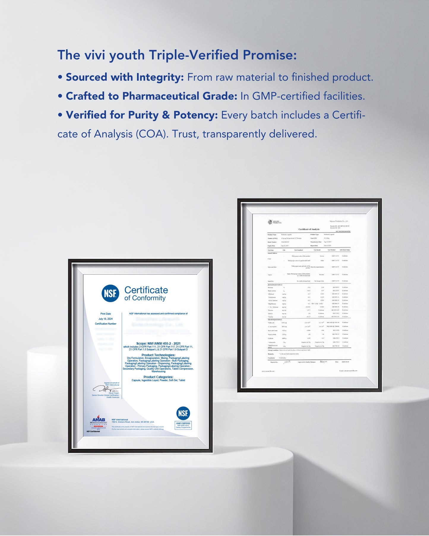 Akkermansia Supplement with 80 Billion Probiotic Prebiotics EGCG Delayed Release