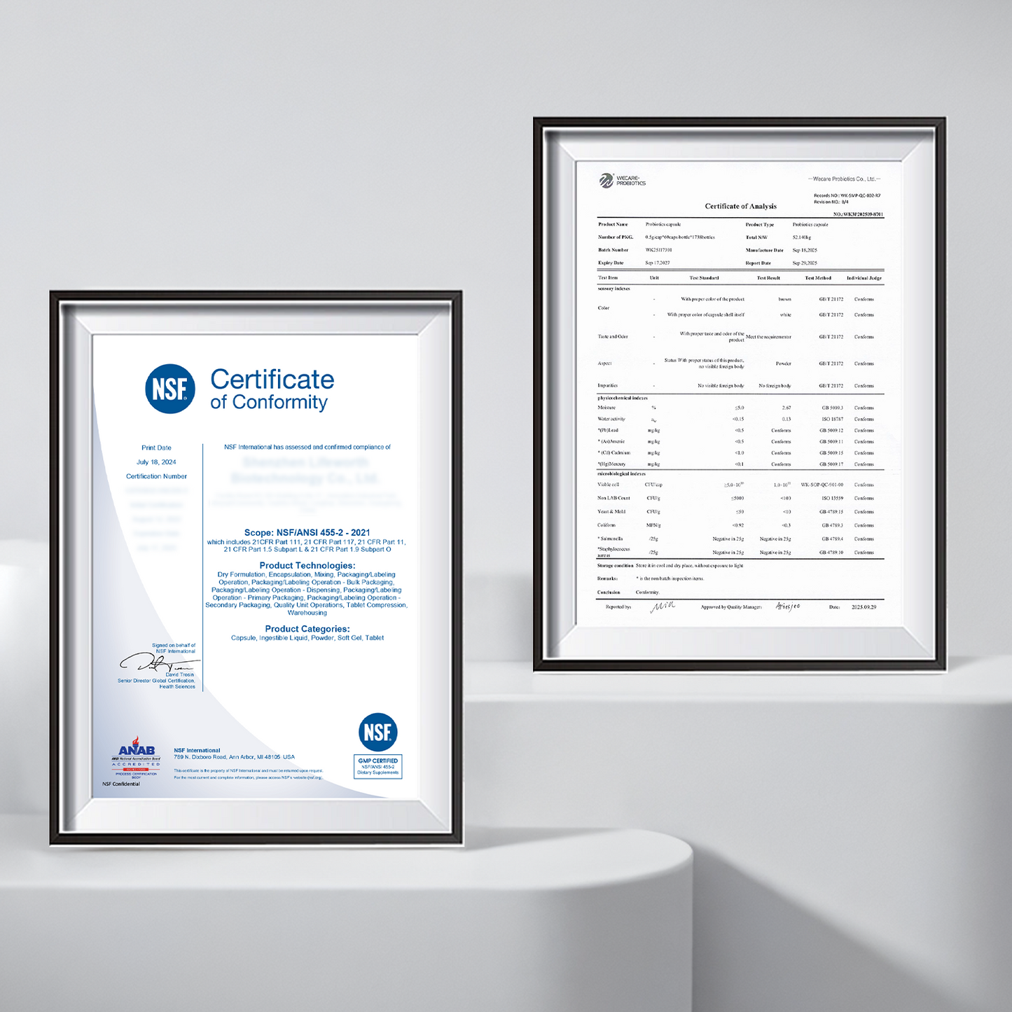 Vaginal Probiotics – pH Balance, Feminine Odor Control & Yeast Support