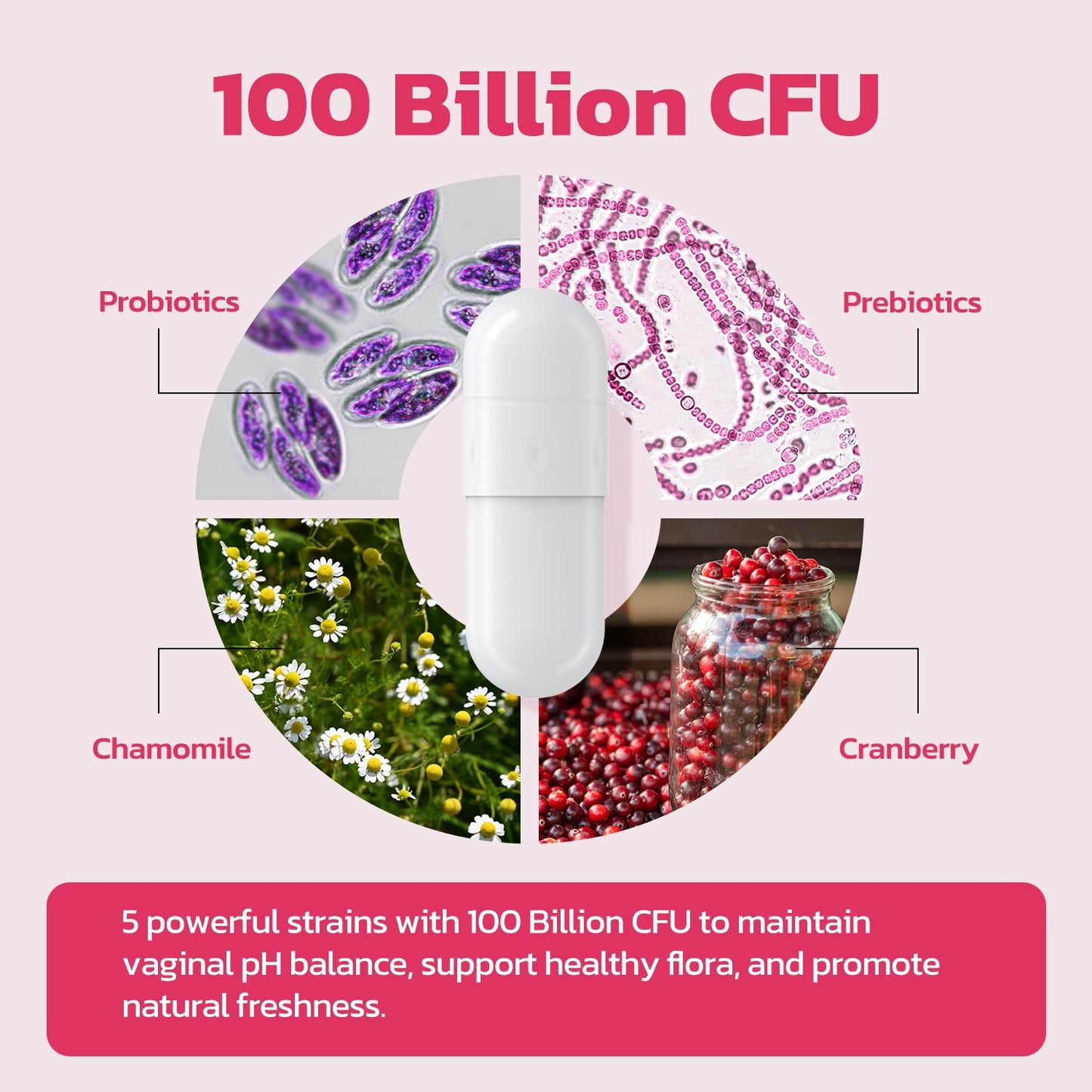 Vaginal Probiotics – pH Balance, Feminine Odor Control & Yeast Support