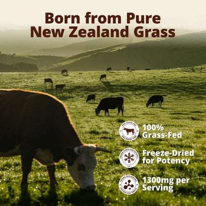 Grass Fed Beef Liver Capsules, Freeze Dried Beef Liver Supplement