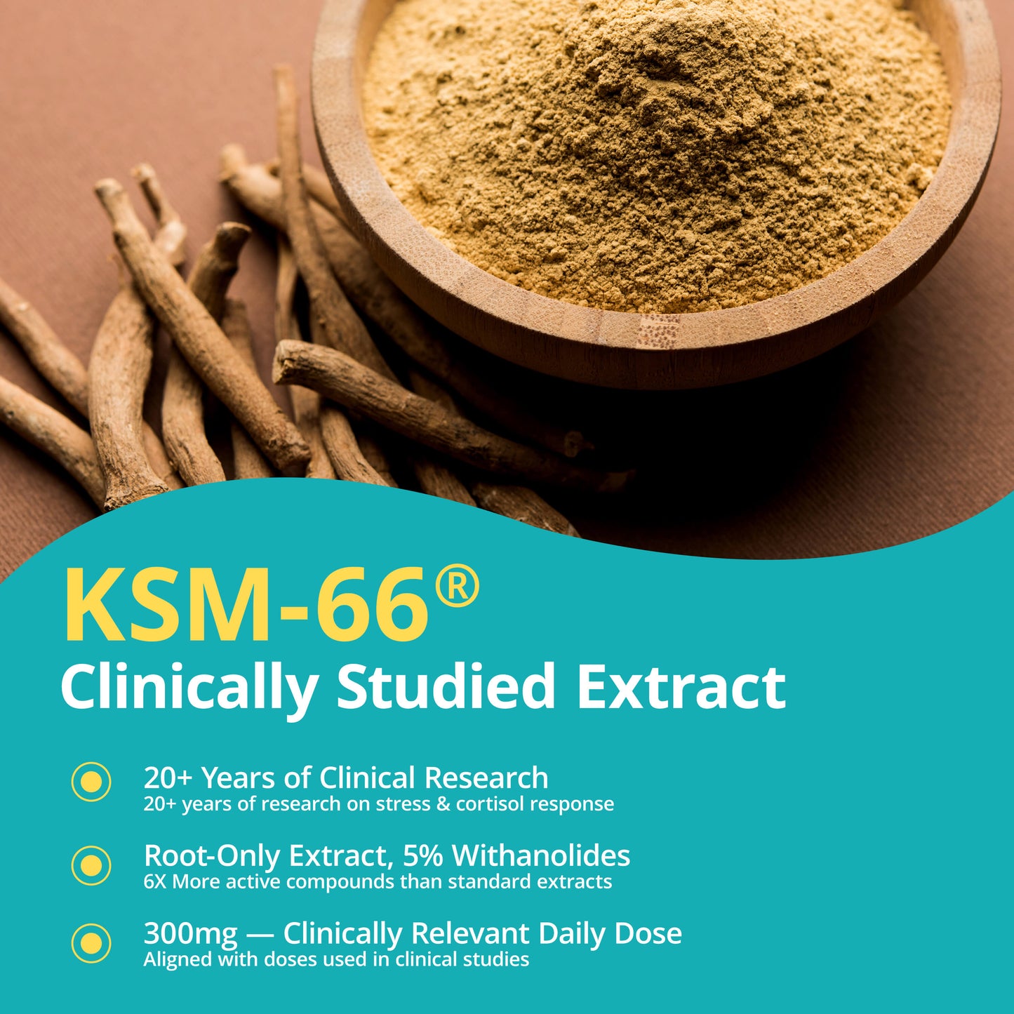Cortisol Supplement with KSM-66® Ashwagandha & L-Theanine
