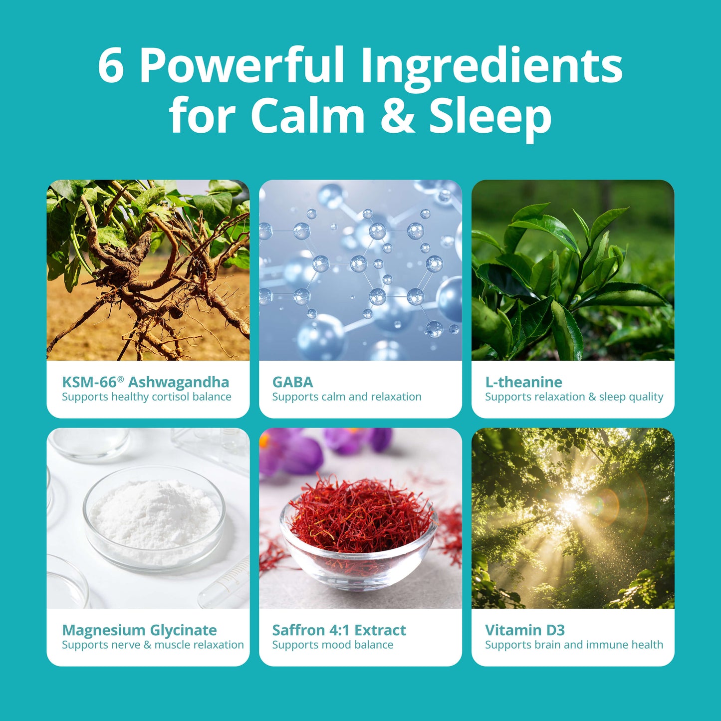 Cortisol Supplement with KSM-66® Ashwagandha & L-Theanine